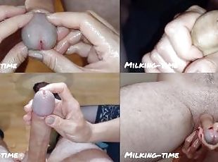 There's Dicks Everywhere! Split-Screen Cumpilation 1 (Milking-time)