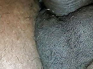 Black Cock BJ