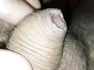 Dripping wet uncut cock