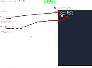 Python Variable - step by step