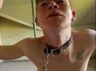 armé, asiatisk, cumshot, gigantisk-kuk, gay, porrstjärna, bdsm, ung18, knullande, twink