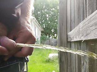 Peeing on my fence