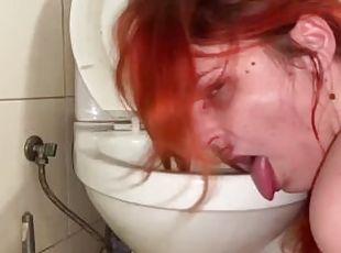 Toilet licking and humping